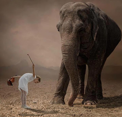 طµظˆط±ط© ظ…ظ† ط§ظ„ط®